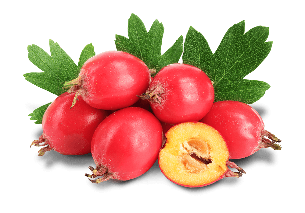 Aurivita